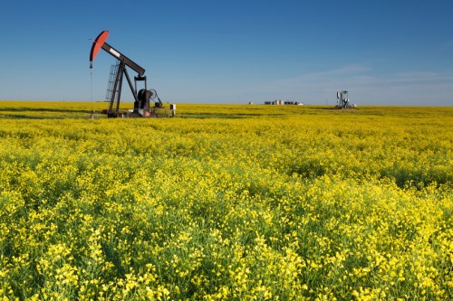 PartnerRe unveils crop insurance partnership